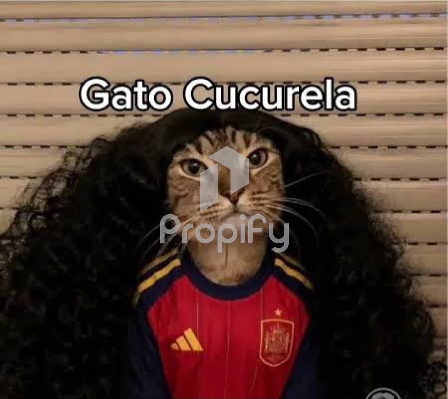 Cucu cucurella