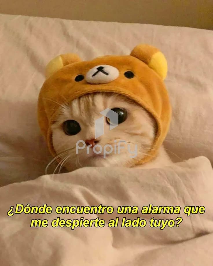 Me muero